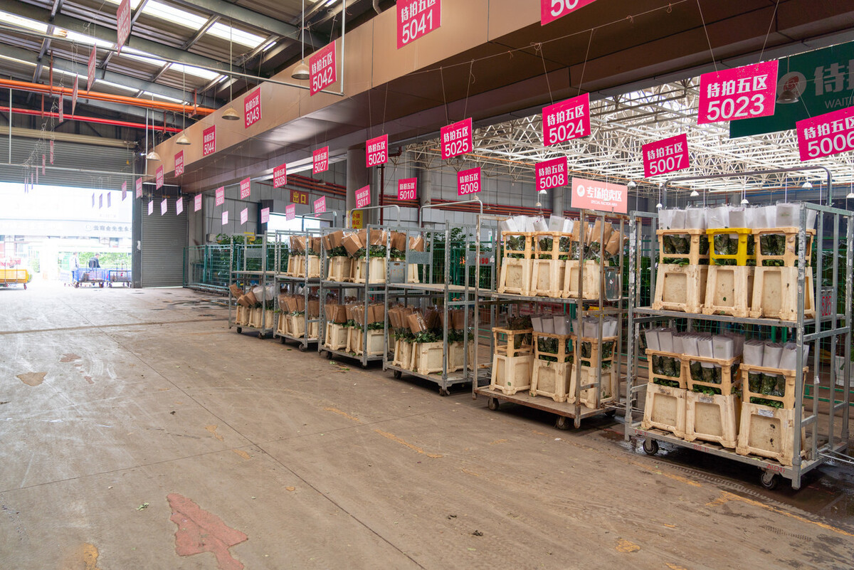 智慧物流倉儲可視化，讓我們和低效率說拜拜